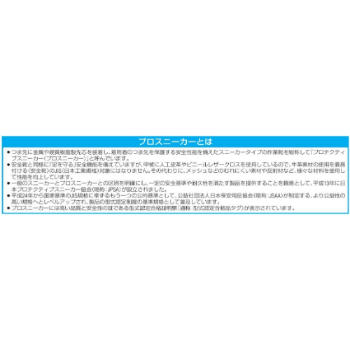 24.0cmプロスニーカー_画像02