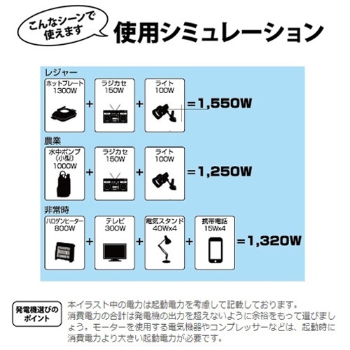 AC100V/1.6kVA(DC12V)インバーター発電機_画像04