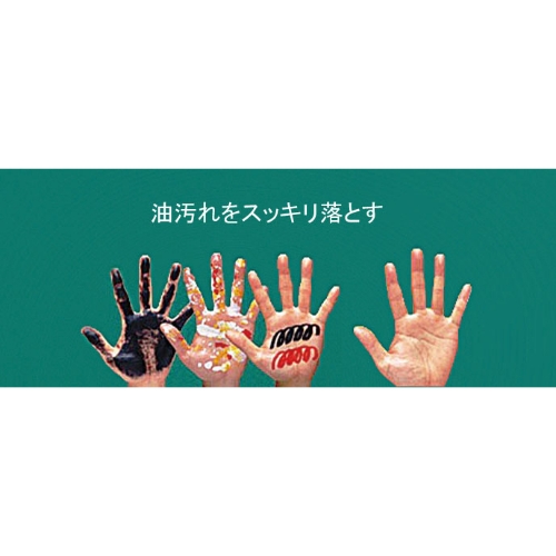 19.0L ハンドクリーナー(シトラスクリーン)_画像02