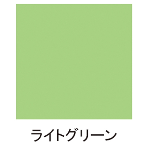 300ml 水性多用途スプレー(ライトグリーン)_画像02