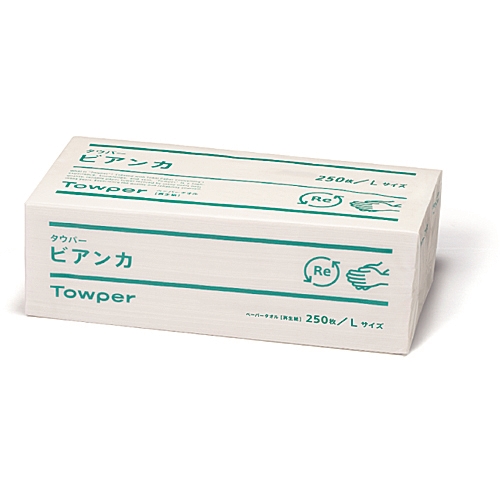 250x250mm ハンドタオル(250枚/12パック)_画像02