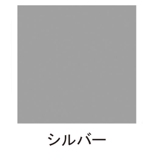 300ml エナメルスプレー(シルバー)_画像02