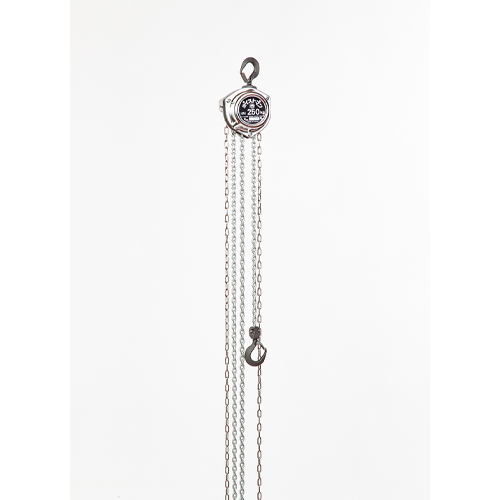 80kgx2.5m チェーンブロック_画像02