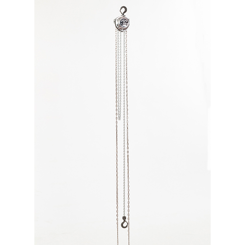 80kgx2.5m チェーンブロック_画像03