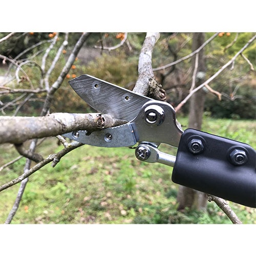 1.2m 高枝鋏(軽量･採取型)_画像02
