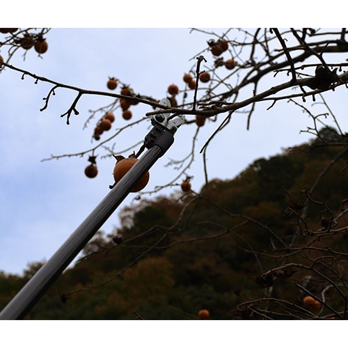 1.2m 高枝鋏(軽量･採取型)_画像03