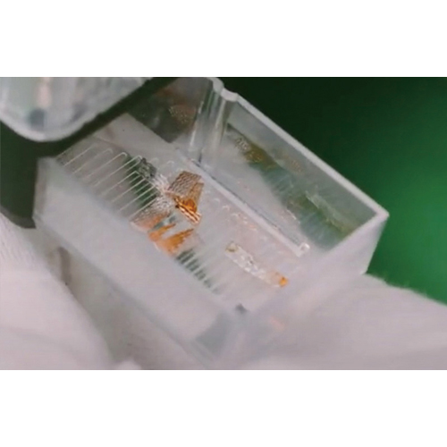 ウィックカッター_画像04