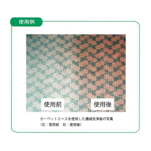 4L　カーペットしみとり剤(バイオ)_画像02