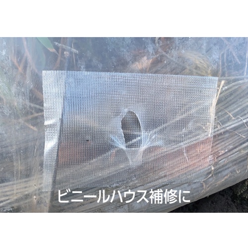 50mmx20m万能補修テープ(耐候性/ナチュラル_画像02