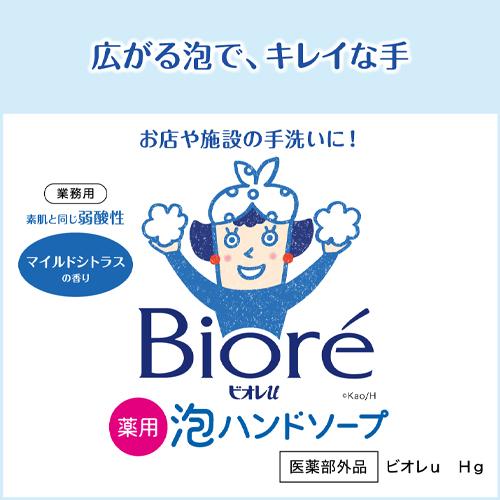 10.0L 泡ハンドソープ(1個)_画像02