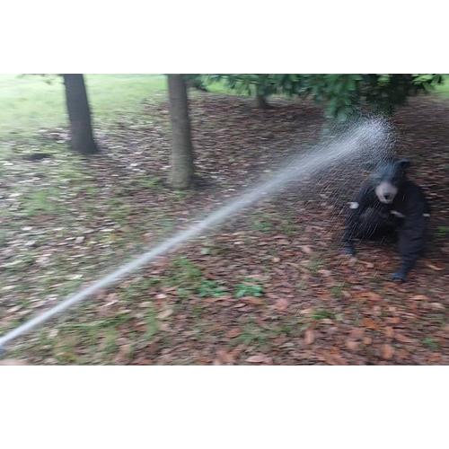 240ml 熊･害獣撃退スプレー_画像03