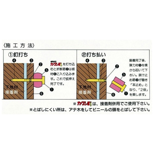 1.24x22mm カクシ釘(850本)_画像02