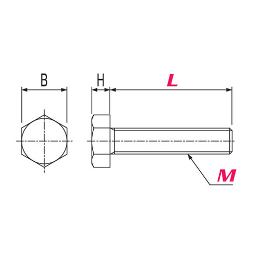 M6x30mm 六角ボルト(PEEK/1本)_画像02